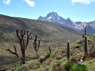 Blick auf den Mount Kenya