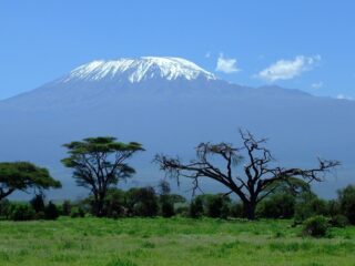 Kilimanjaro