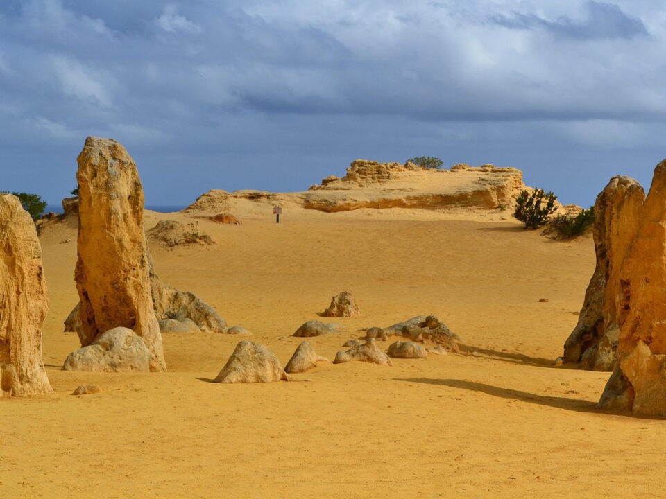 Pinnacles im Nambung NP