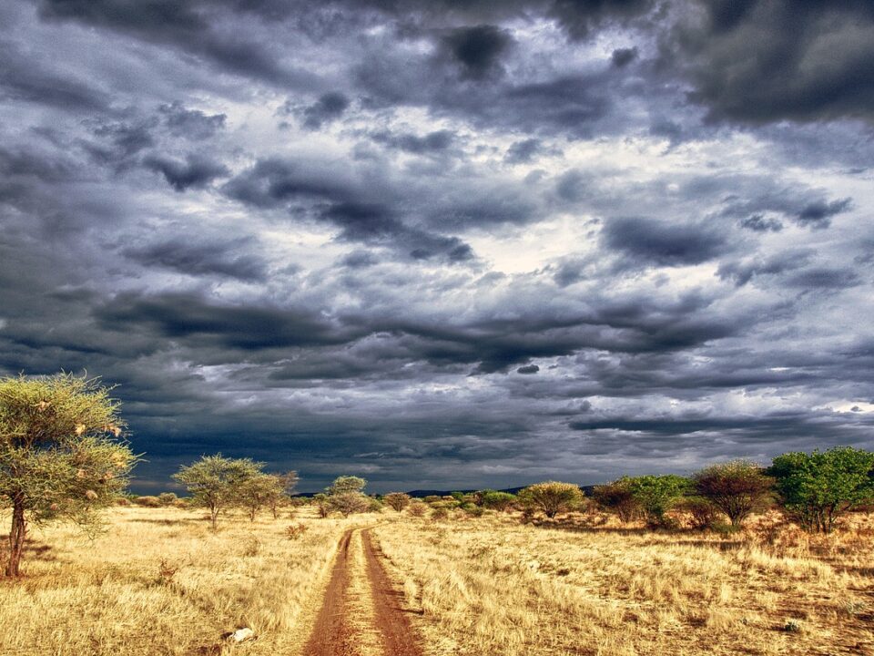 Unterwegs in Namibia