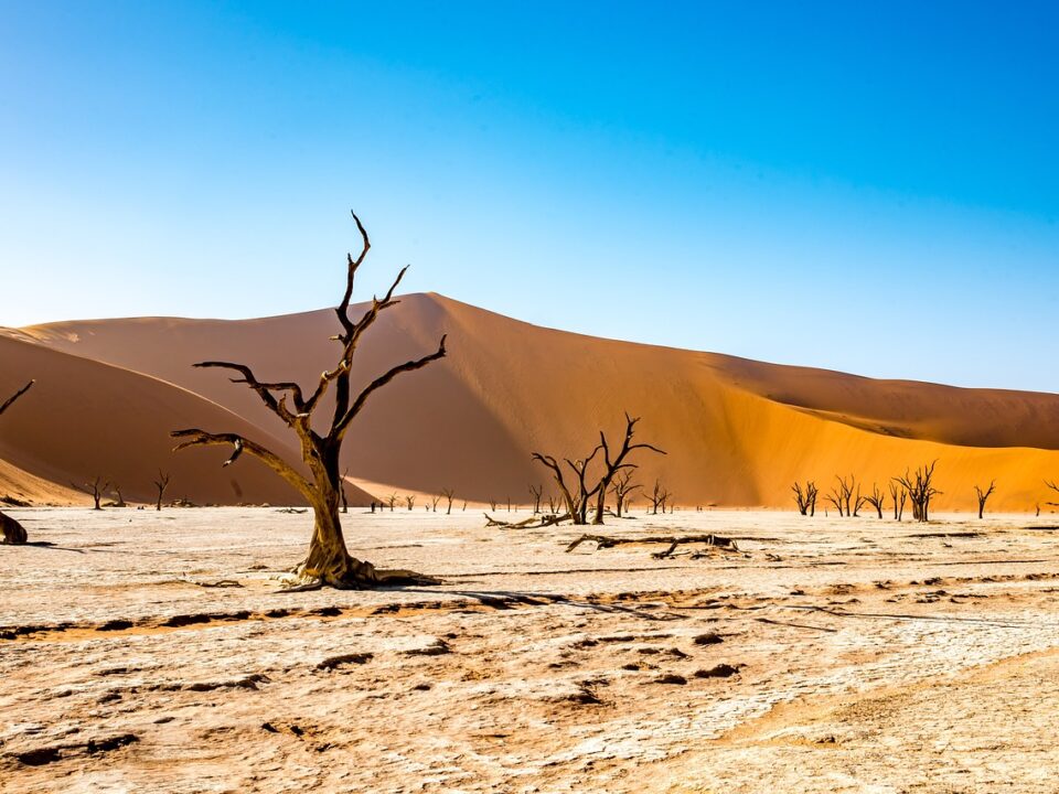 Sossusvlei