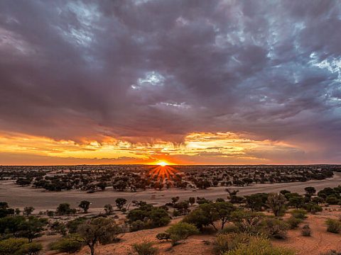 Sonnenuntergang in der Kalahari