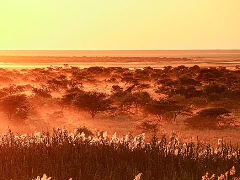 Sonnenuntergang im Etosha Nationalpark