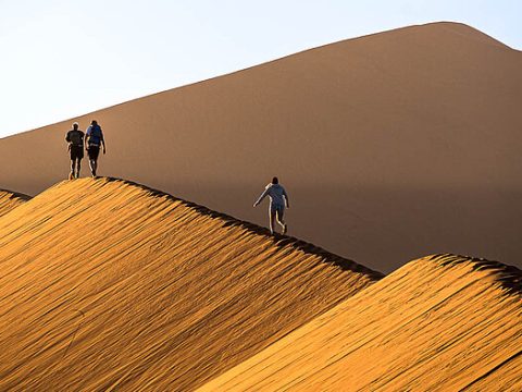 Rote Dünen im Sossusvlei