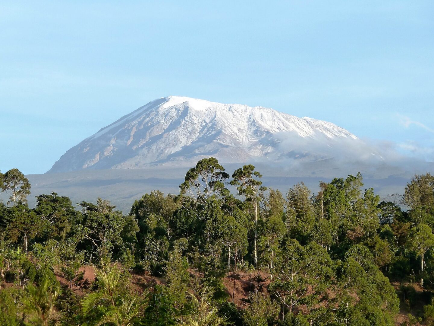 Blick auf den Kilimanjaro