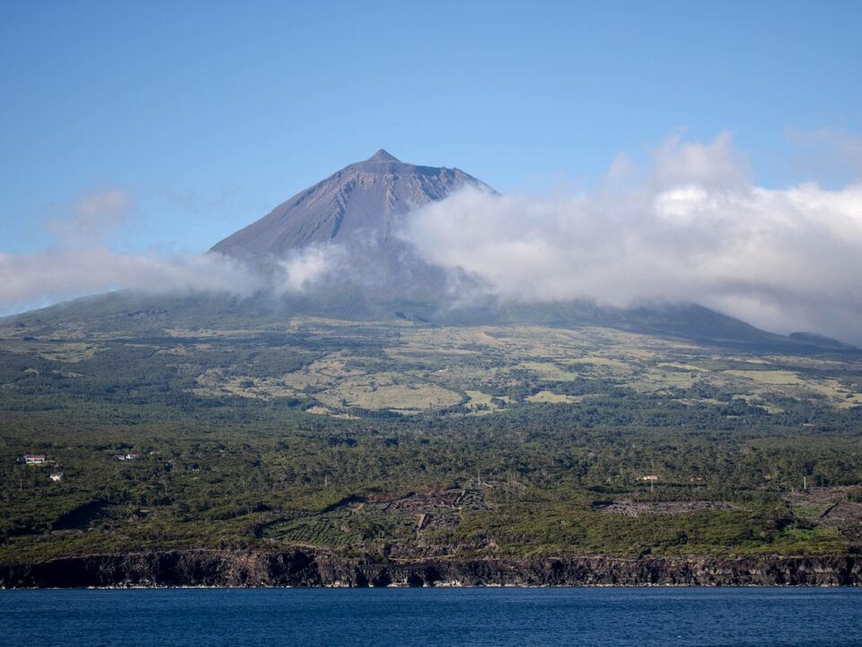 Pico