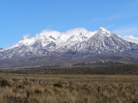 Blick auf die neuseeländischen Alpen