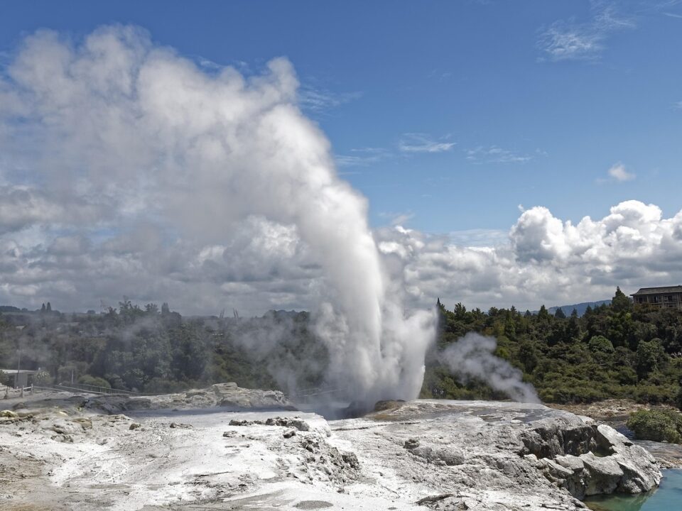 Geysir in Rotorua
