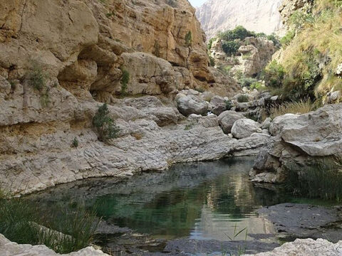 Grünes Wadi in Oman