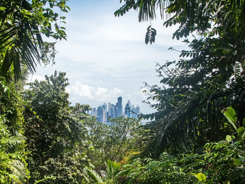 Blick auf Panama City