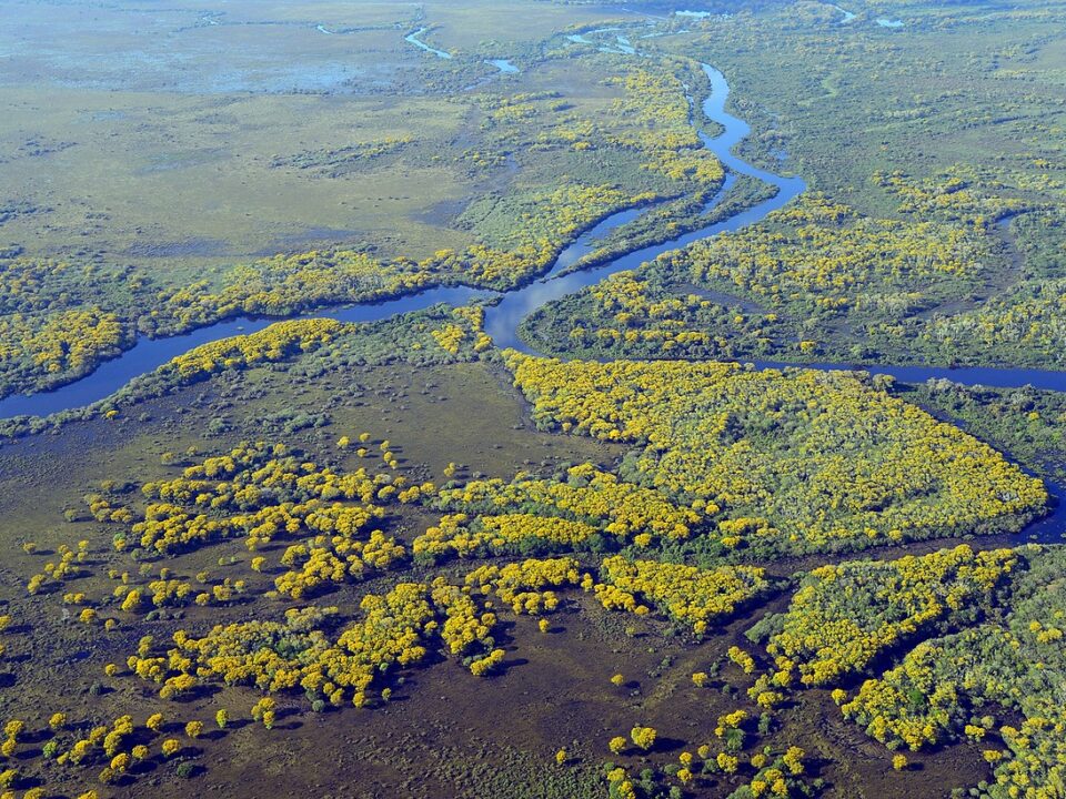 Blick auf das Pantanal