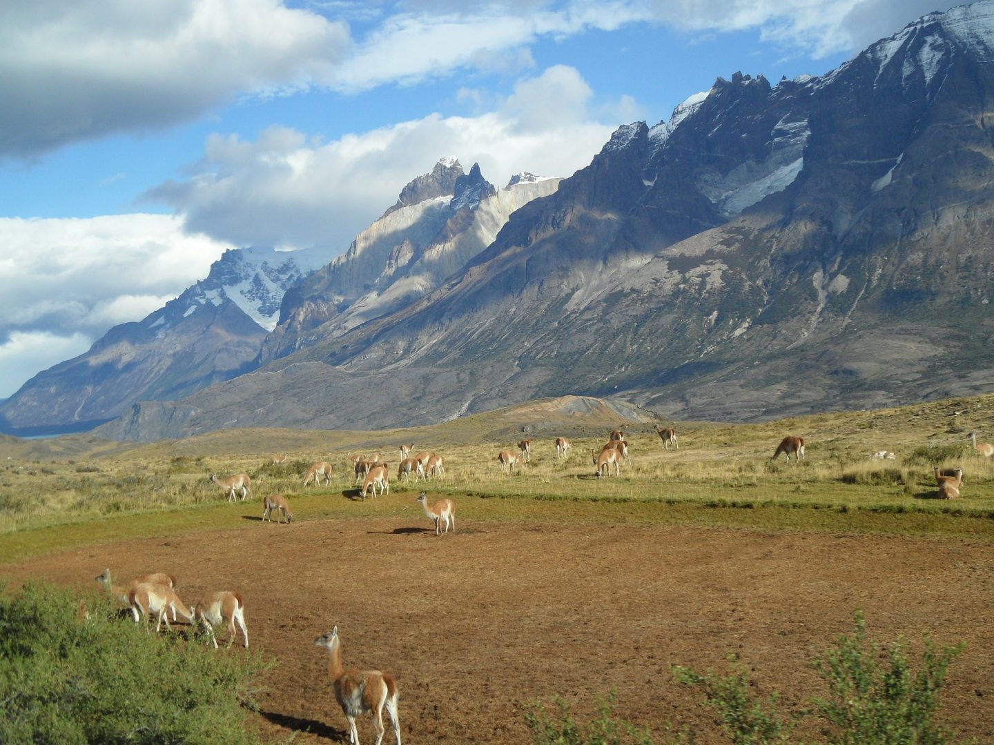 Patagonien: Landschaft