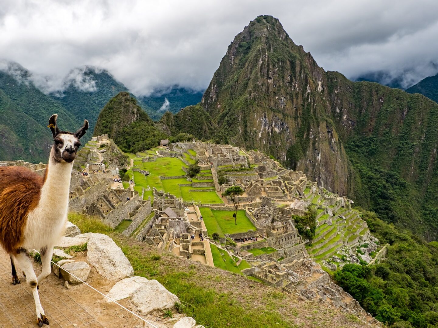 Machu Picchu