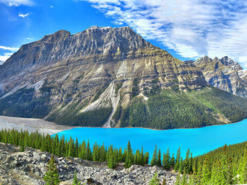 Panorama Peyto Lake