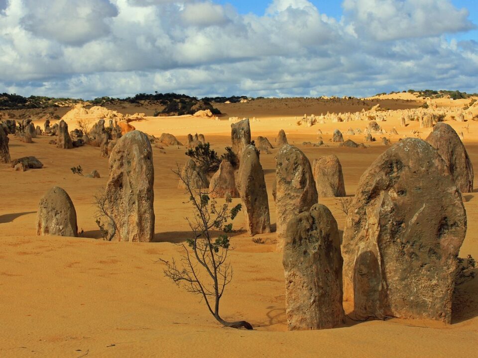 Sandsteinformation "The Pinnacles"