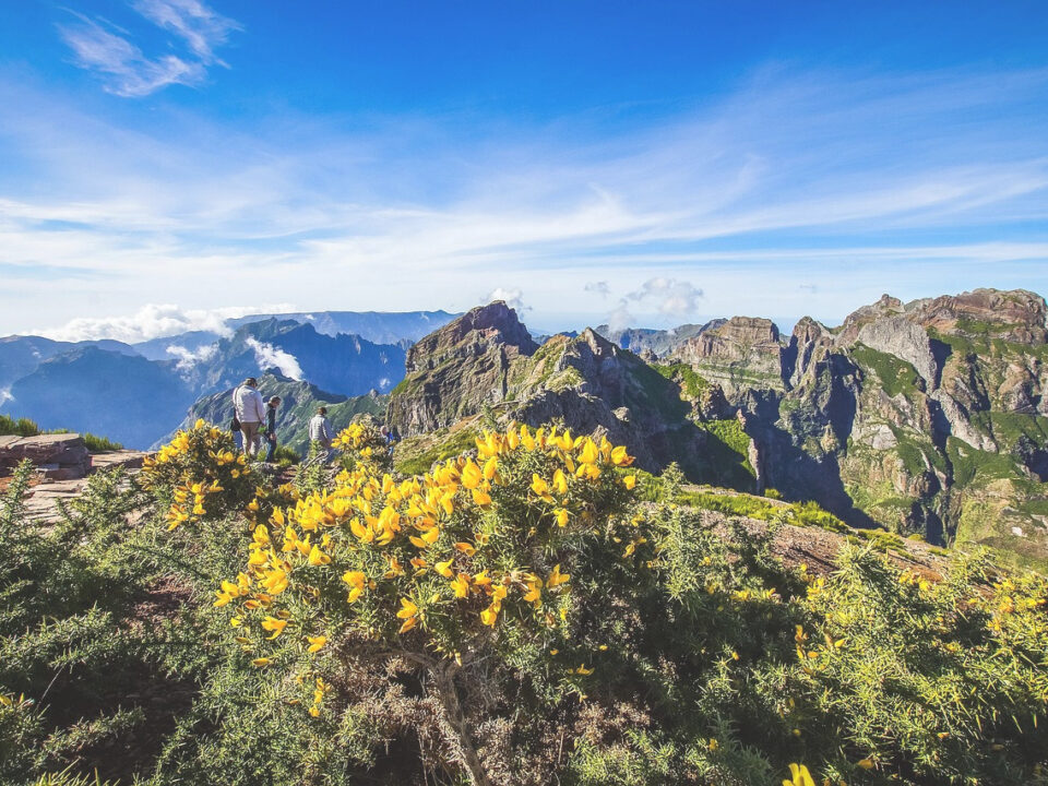 Im Hochland der Insel Madeira