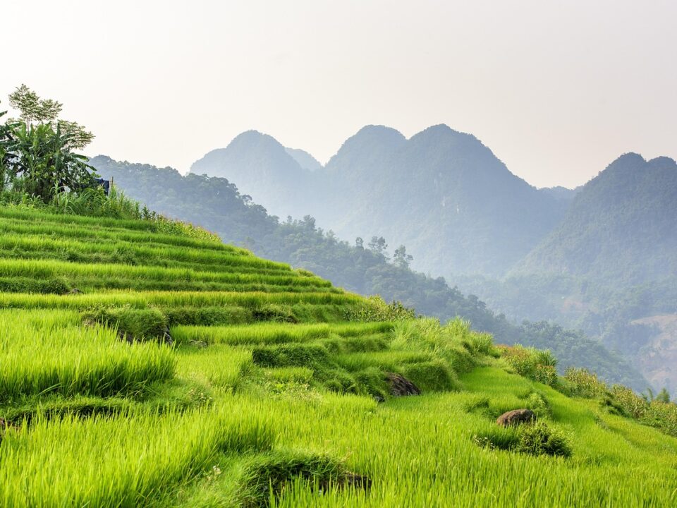 Pu Luong Nature Reserve