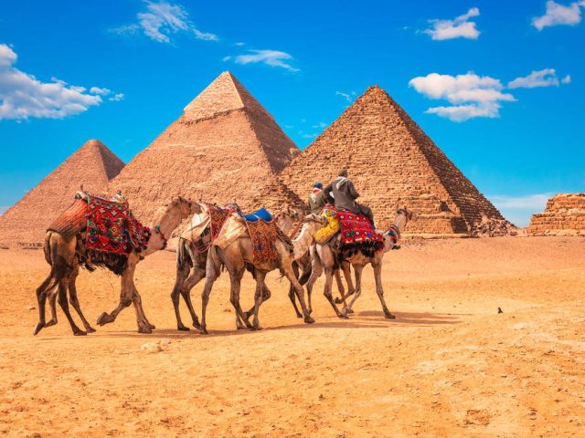 Kamelen an den Pyramiden