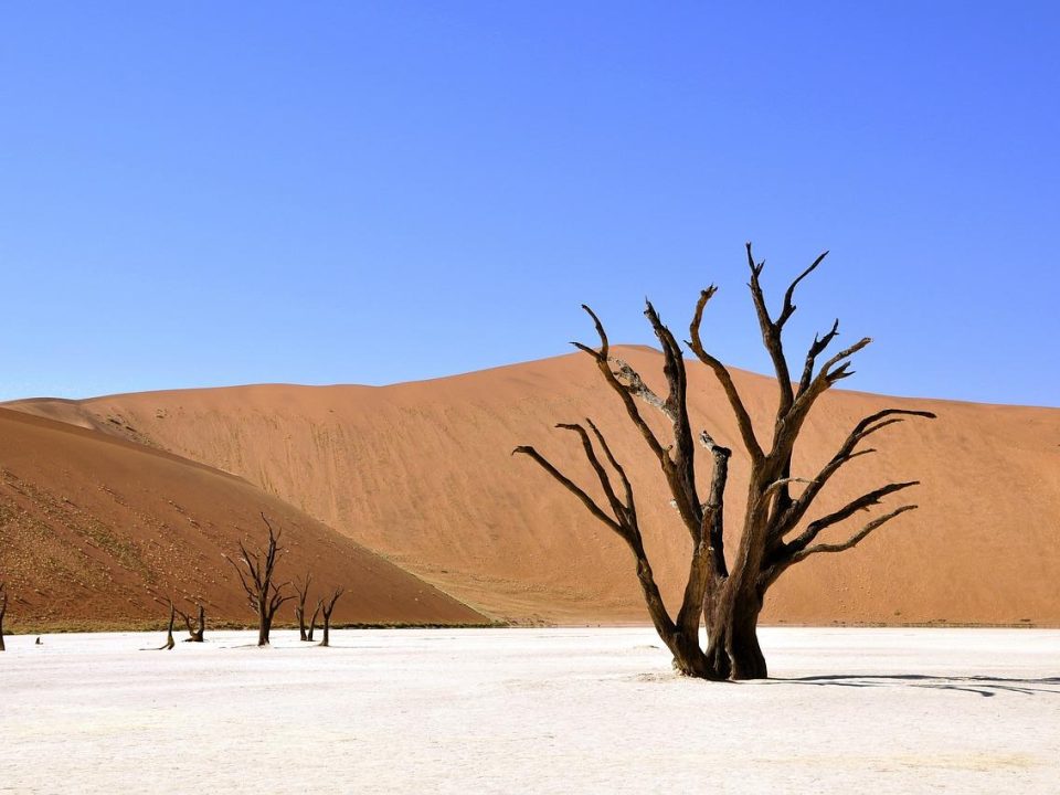 Namibia - Dead Vlei