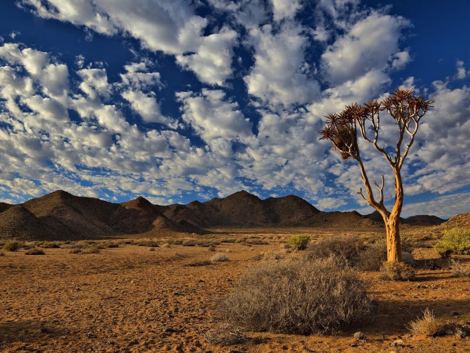 Südafrika - Richtersveld