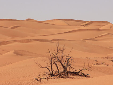 Sandwüste Rub al-Khali