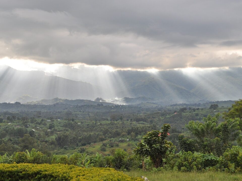 Blick auf die Ruwenzori-Berge
