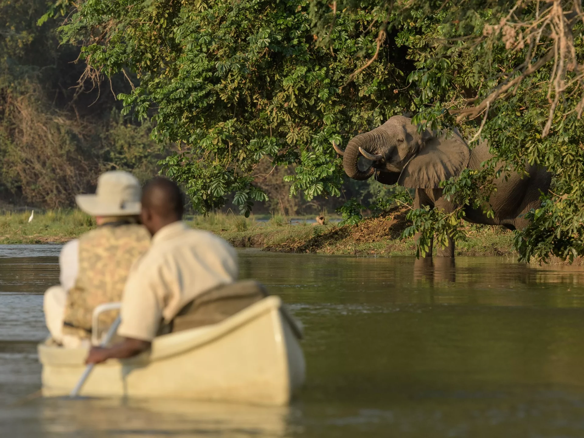 Kanu-Safari im Lower Zambezi NP