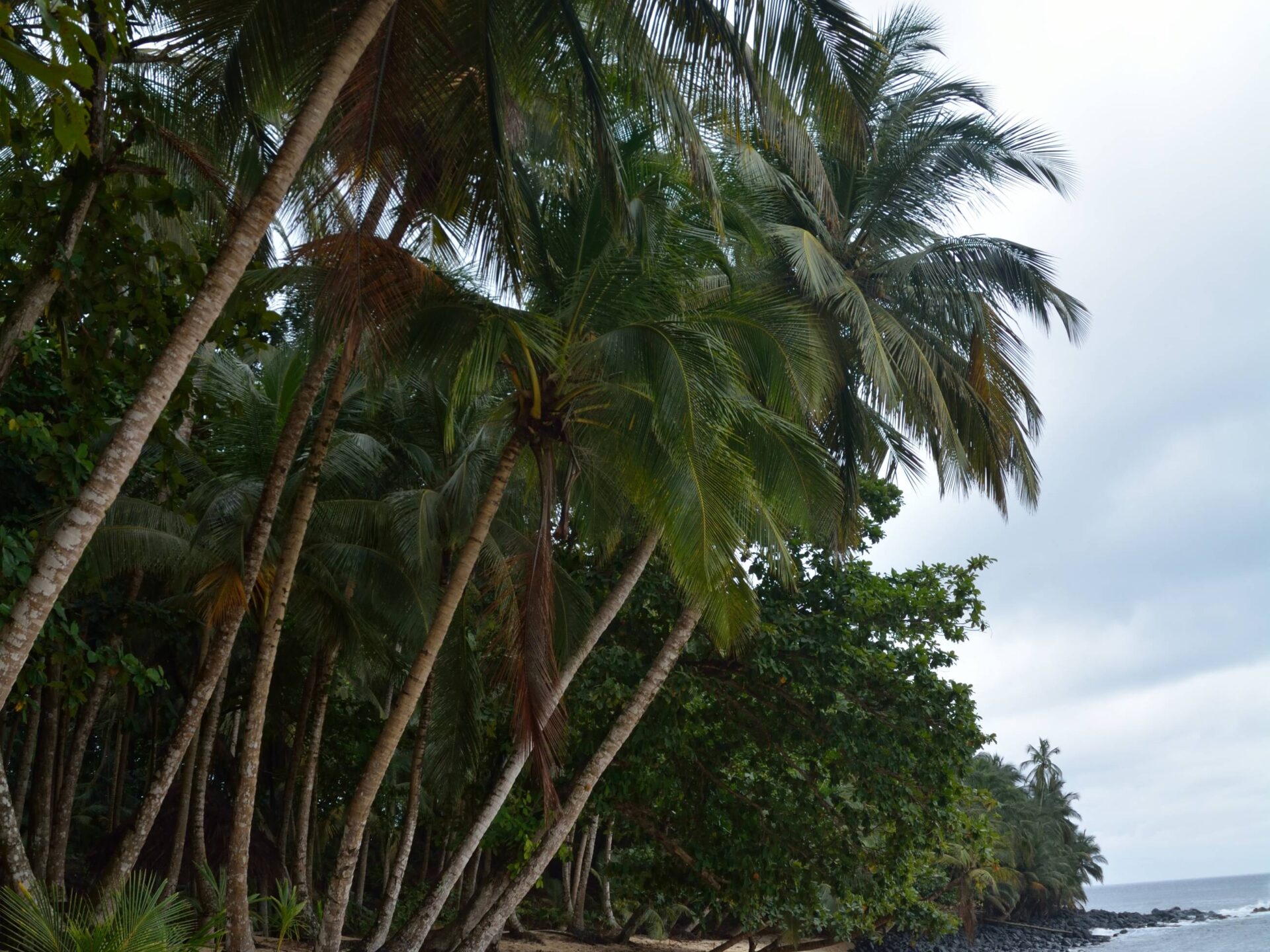 Praia Banana