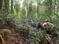 Wald-Wanderung auf São Tomé