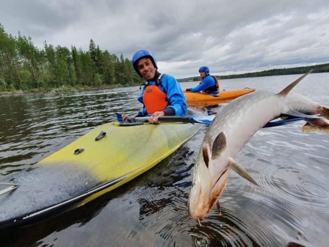 Fisch trifft auf Kanufahrer