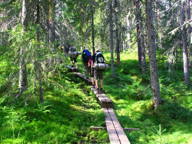 Wandern in der grünen Wildnis