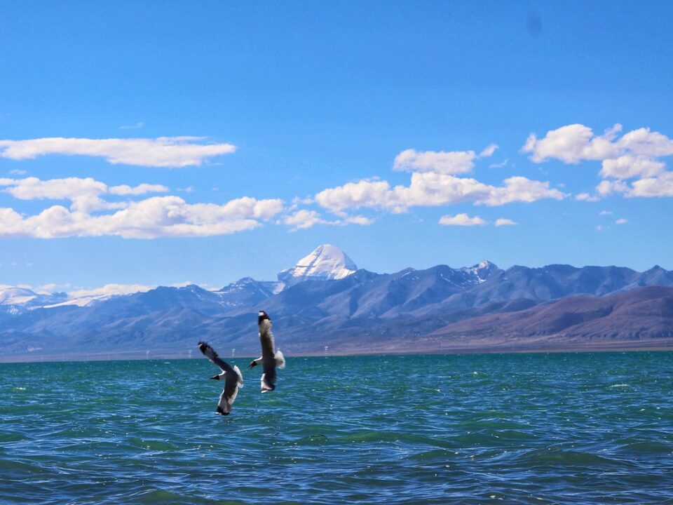 Manasarovar-See