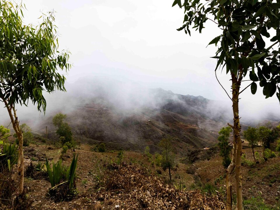 Nebel in der Serra Malagueta