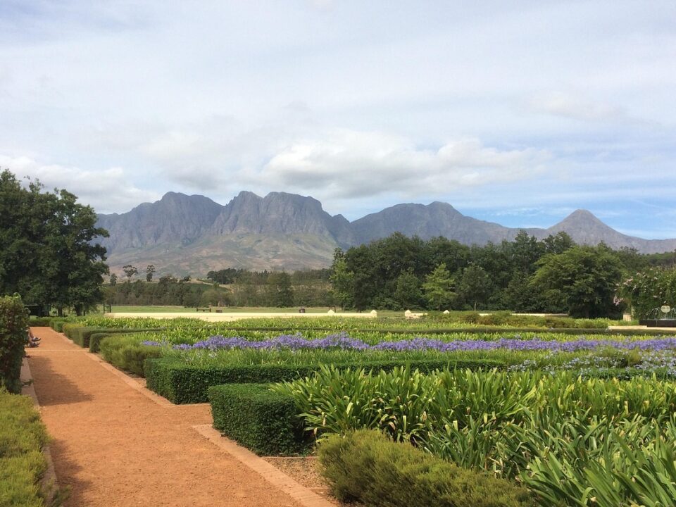 Weinbaugebiet in Südafrika