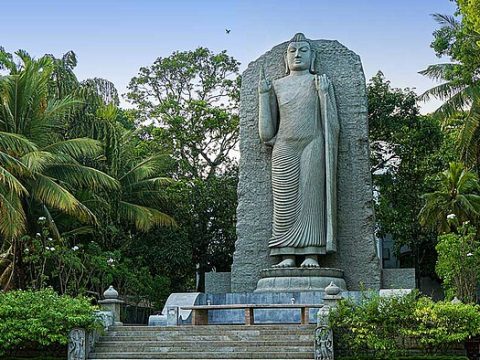 Stehender Buddha in Colombo