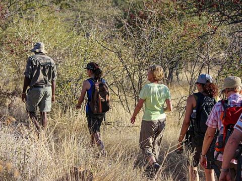 Bush Walk mit einem Ranger