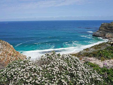 Aussicht vom Cape Point