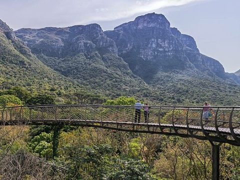 Botanischer Garten Kirstenbosch