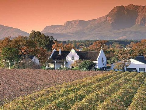 Weingut Stellenbosch