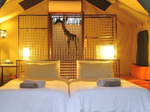 Taleni Etosha Village