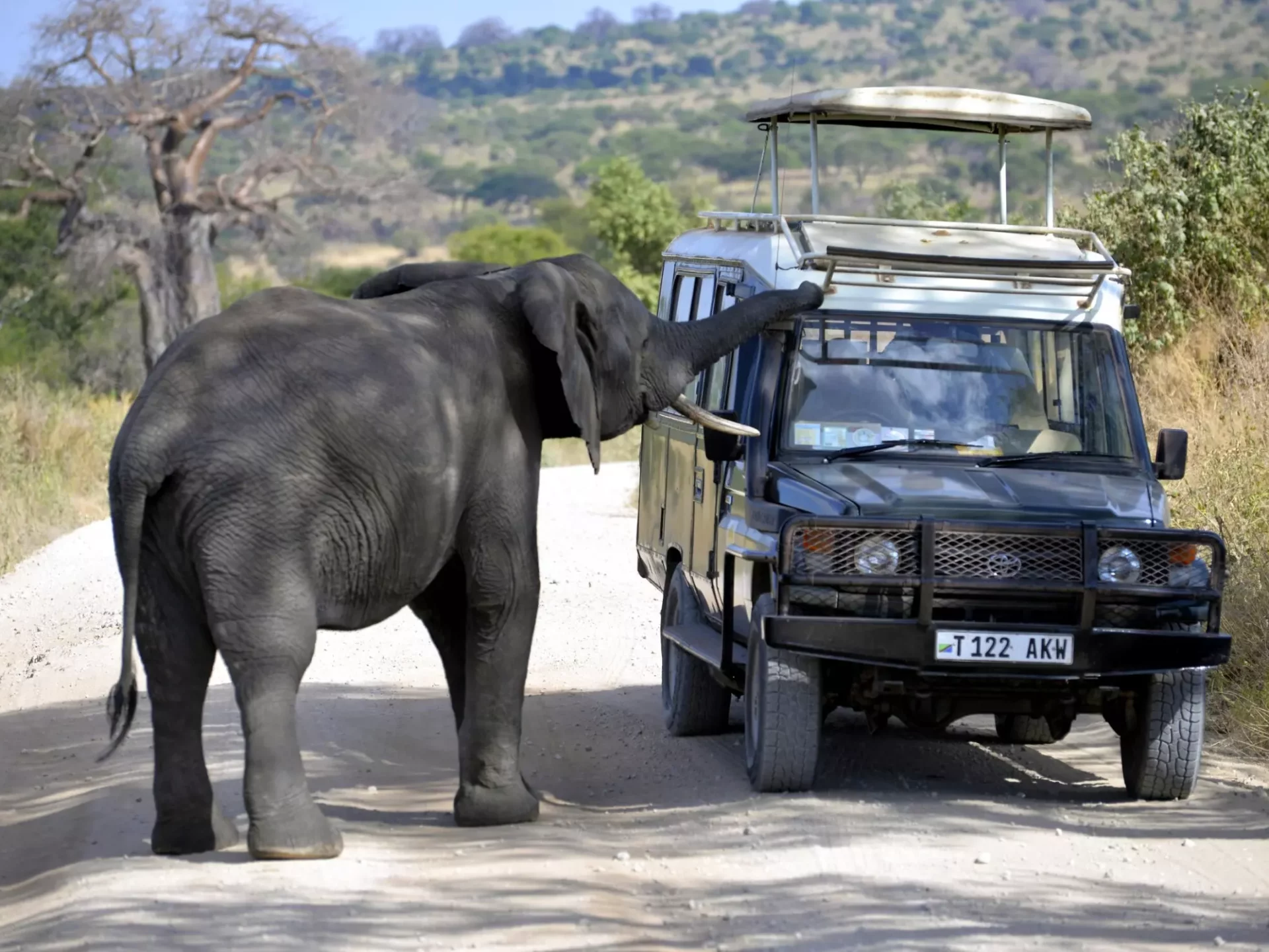 Begrüßung durch einen Elefanten