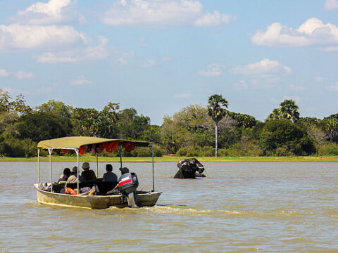 Boot-Safari im Selous