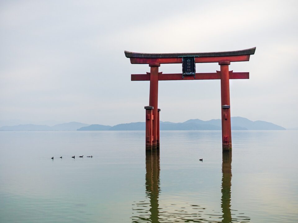 Torii