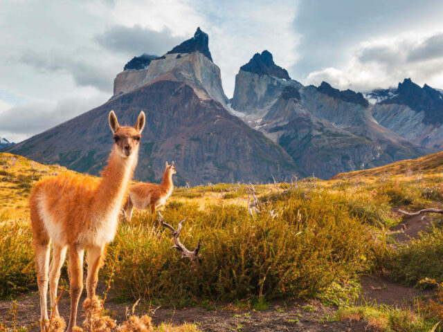 Torres del Paine