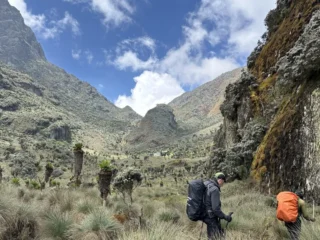 Trekking in den Ruwenzori-Bergen