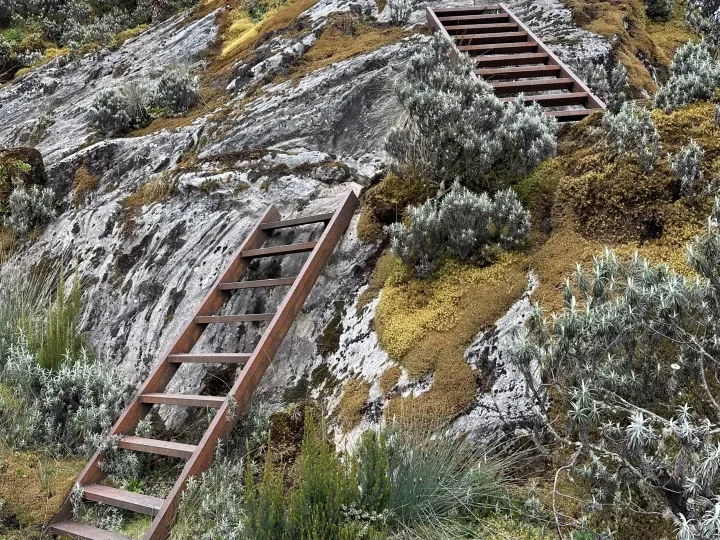 Treppen in den Ruwenzoris
