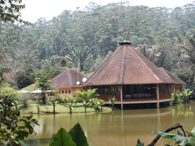 Vakona Forest Lodge