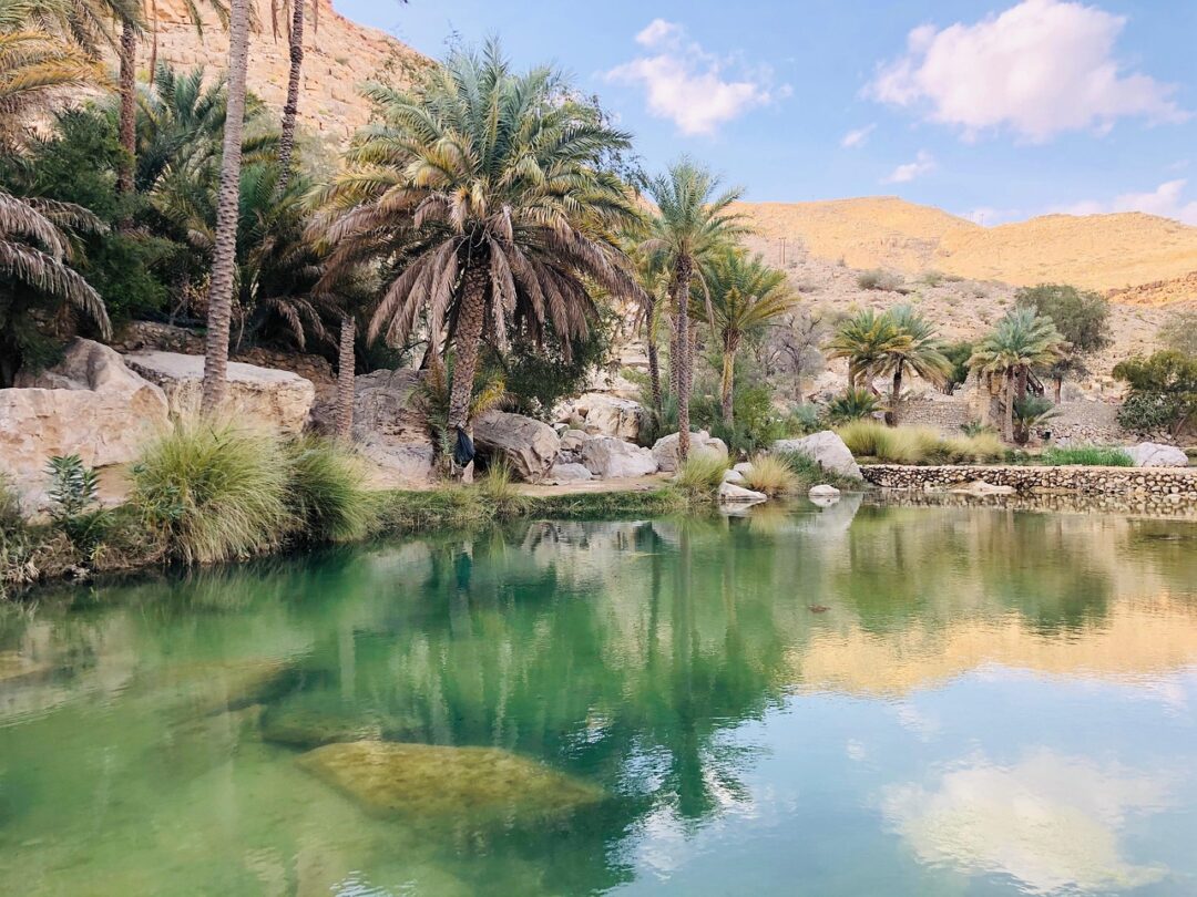 Wadi in der Sharqiyah