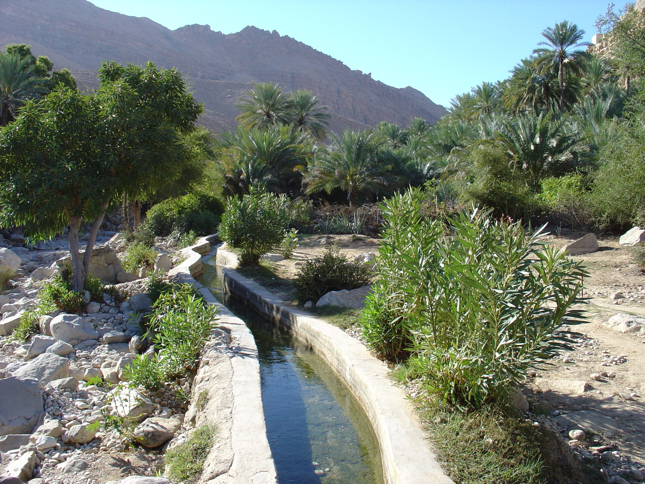 Traditioneller Bewässerungskanal