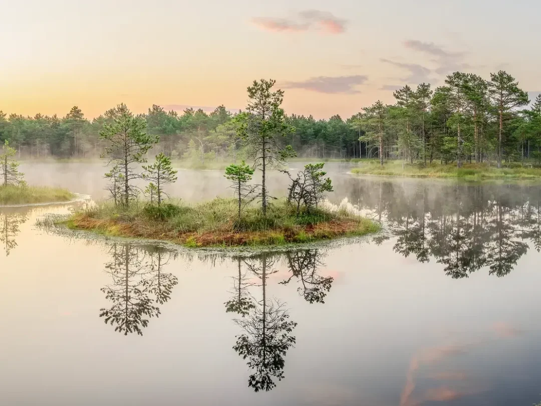 Morgenstimmung im Lahemaa Nationalpark